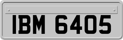 IBM6405