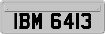 IBM6413