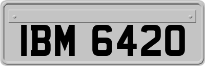 IBM6420