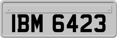 IBM6423