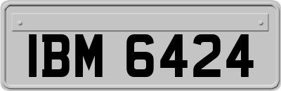 IBM6424