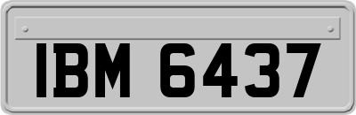 IBM6437