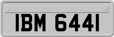 IBM6441