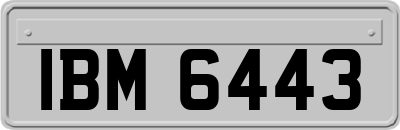 IBM6443