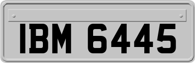 IBM6445