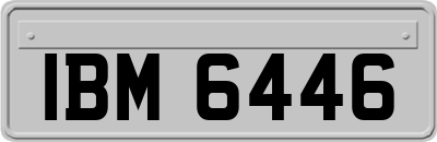 IBM6446