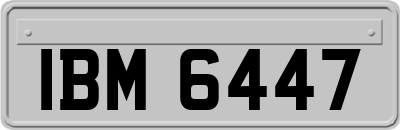 IBM6447