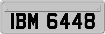 IBM6448