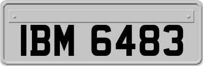 IBM6483