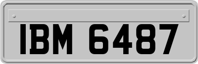 IBM6487