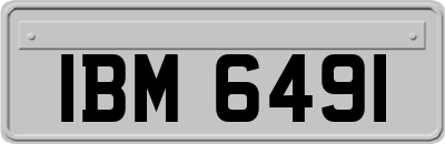 IBM6491