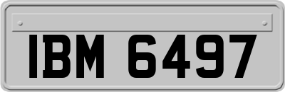 IBM6497