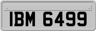 IBM6499