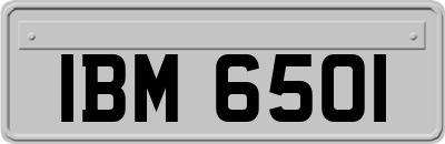 IBM6501