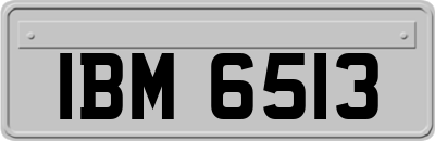 IBM6513