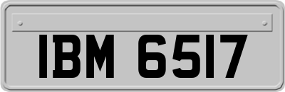 IBM6517