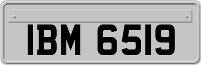 IBM6519