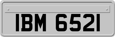 IBM6521