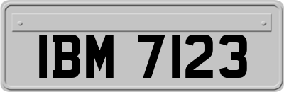 IBM7123