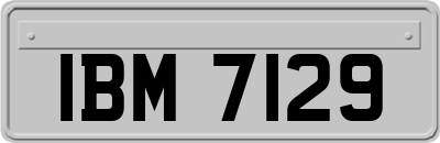 IBM7129