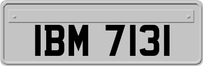 IBM7131