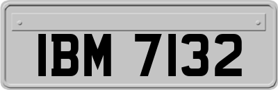 IBM7132