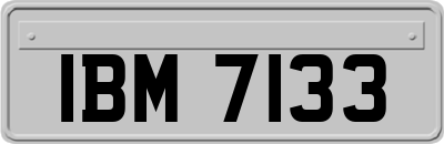 IBM7133