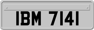 IBM7141