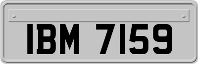 IBM7159