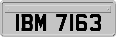 IBM7163