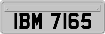 IBM7165