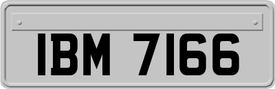 IBM7166