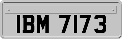 IBM7173