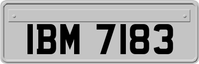 IBM7183