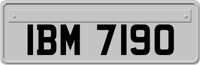 IBM7190