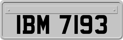 IBM7193