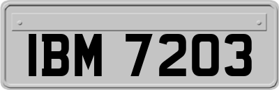 IBM7203