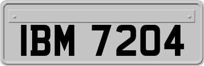 IBM7204