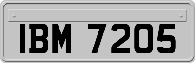 IBM7205