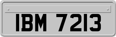 IBM7213