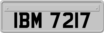 IBM7217