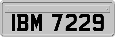 IBM7229