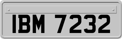 IBM7232