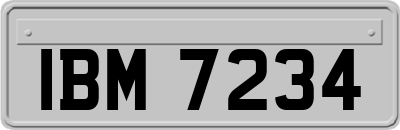 IBM7234