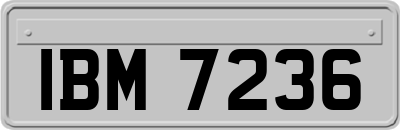 IBM7236