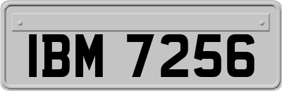 IBM7256