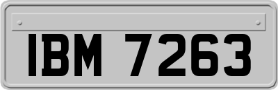 IBM7263