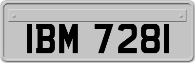 IBM7281