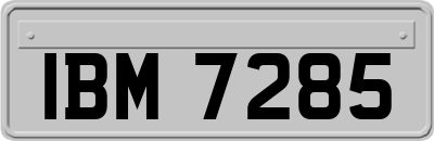 IBM7285