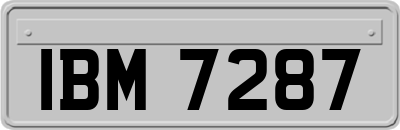 IBM7287